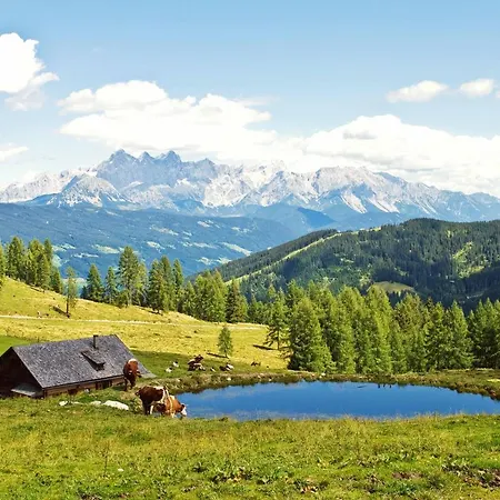 Apartment Steger Maria Flachau