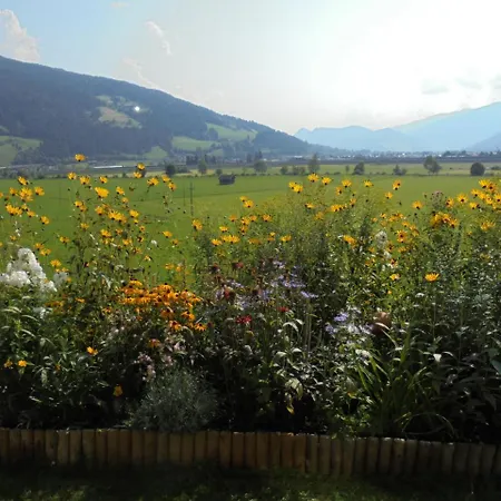 Apartment Steger Maria Flachau