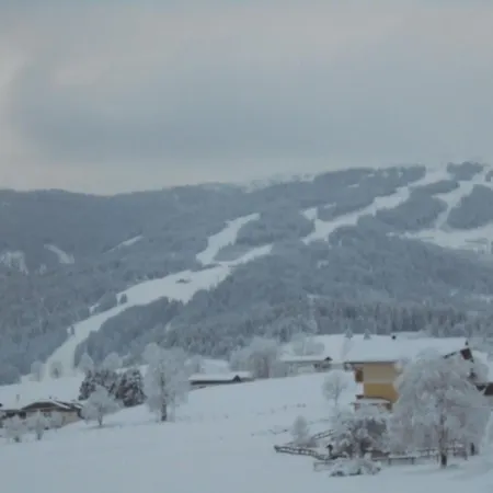 Steger Maria Appartamento Flachau