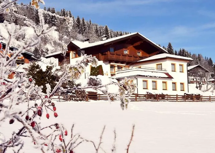 Steger Maria Apartment *