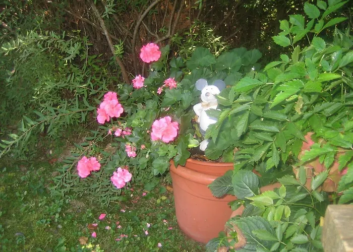 Steger Maria Apartment *