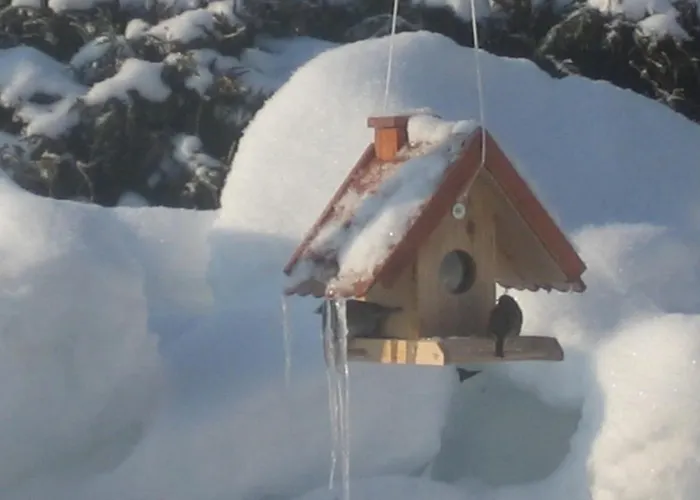 Steger Maria Flachau