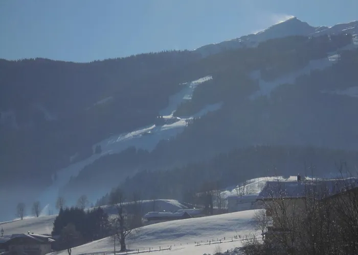 Apartment Steger Maria Flachau